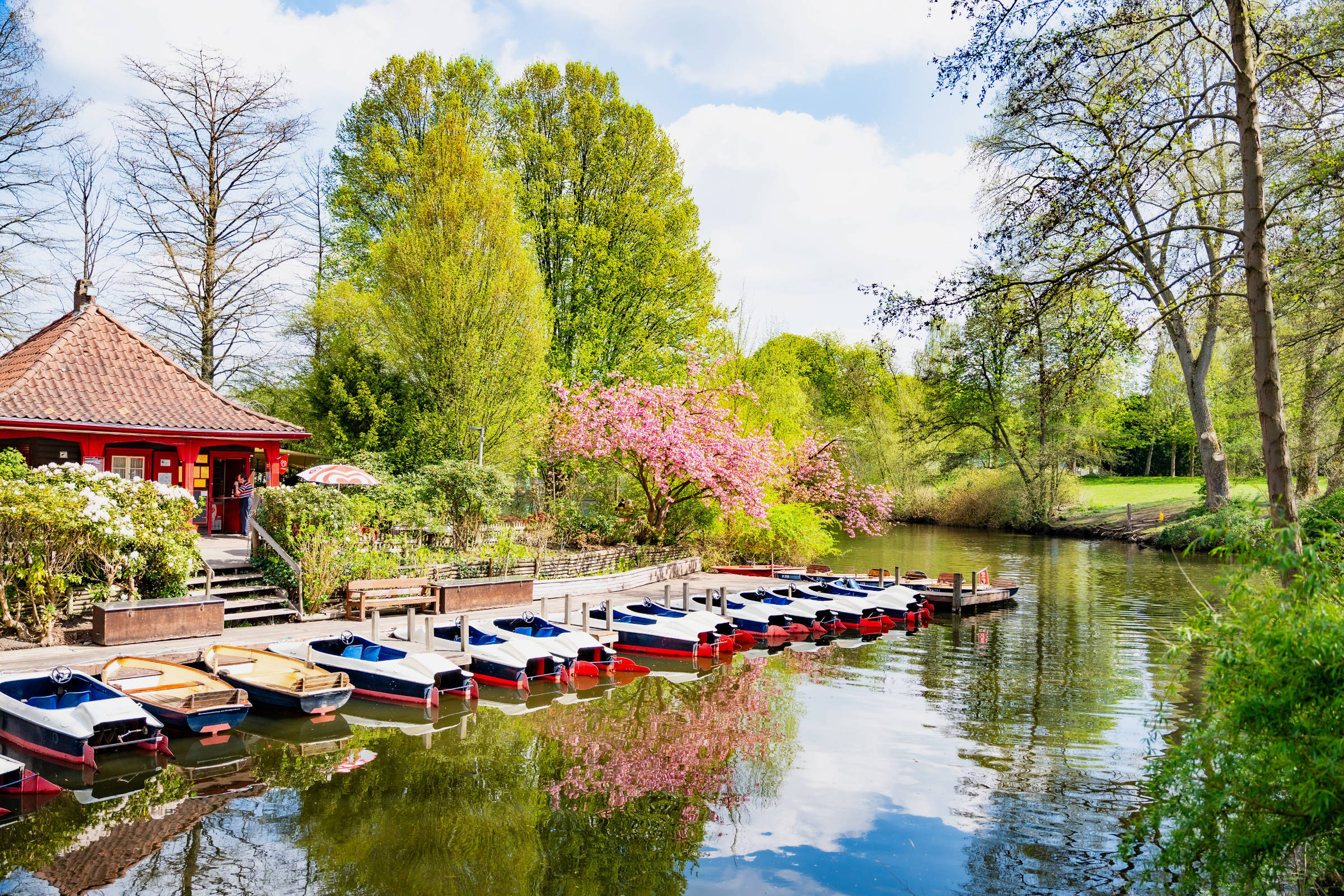 Un embarcadero para barcas de pedales en el Alster de Hamburgo, árboles verdes y algunos cerezos en flor.