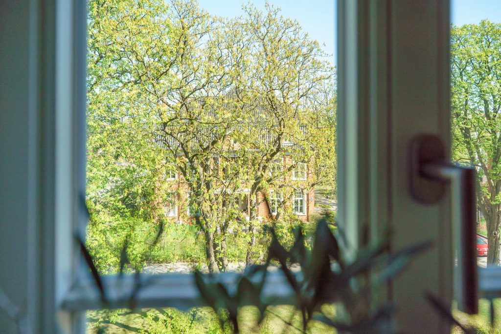 Vista a través de una ventana a los verdes árboles del exterior.